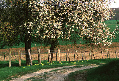 BUITEN BEELD Foto: 53650