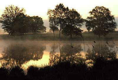 BUITEN BEELD Foto: 53660