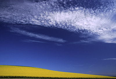 BUITEN BEELD Foto: 53662