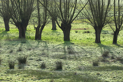 BUITEN BEELD Foto: 53675