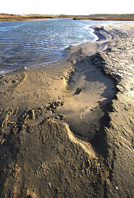 BUITEN BEELD Foto: 53684