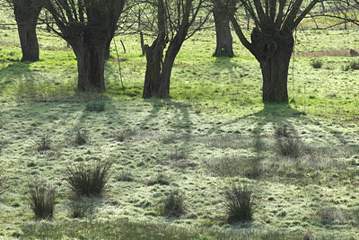 BUITEN BEELD Foto: 53690