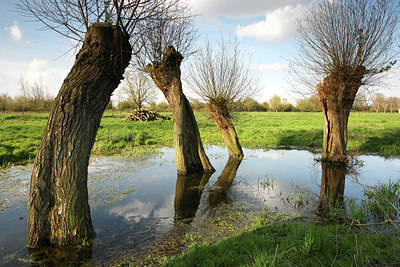 BUITEN BEELD Foto: 53691