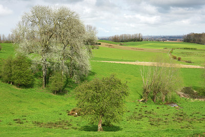 BUITEN BEELD Foto: 53693