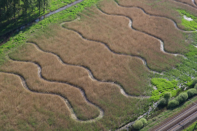 BUITEN BEELD Foto: 53755