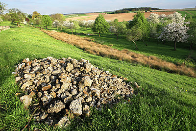 BUITEN BEELD Foto: 53764