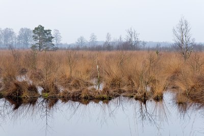 BUITEN BEELD Foto: 53775
