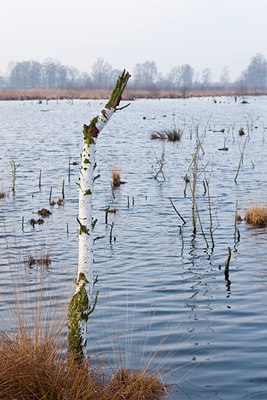 BUITEN BEELD Foto: 53779