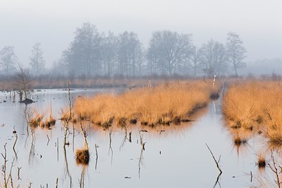 BUITEN BEELD Foto: 53786