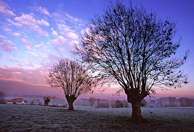 BUITEN BEELD Foto: 53787