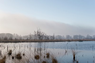 BUITEN BEELD Foto: 53789