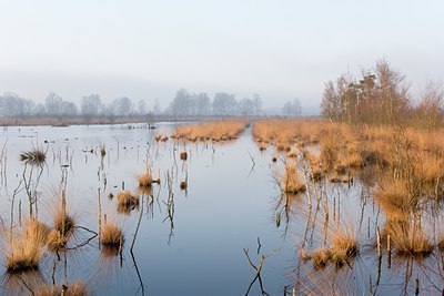 BUITEN BEELD Foto: 53794