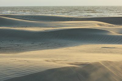 BUITEN BEELD Foto: 53800