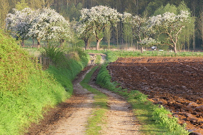 BUITEN BEELD Foto: 53807