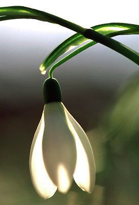 BUITEN BEELD Foto: 53838