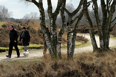 BUITEN BEELD Foto: 53874