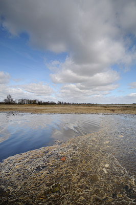BUITEN BEELD Foto: 53877