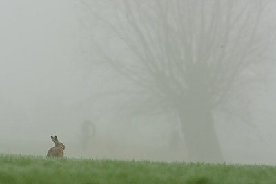 BUITEN BEELD Foto: 53945