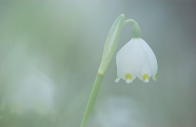 BUITEN BEELD Foto: 54031
