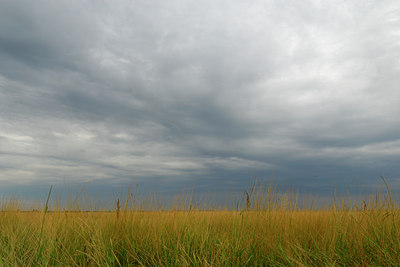 BUITEN BEELD Foto: 54055