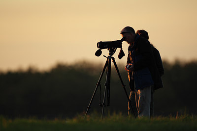 BUITEN BEELD Foto: 54118