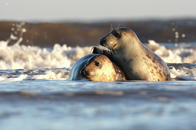 BUITEN BEELD Foto: 54175