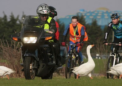 BUITEN BEELD Foto: 54202