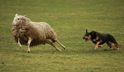 BUITEN BEELD Foto: 54207