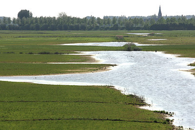 BUITEN BEELD Foto: 54228