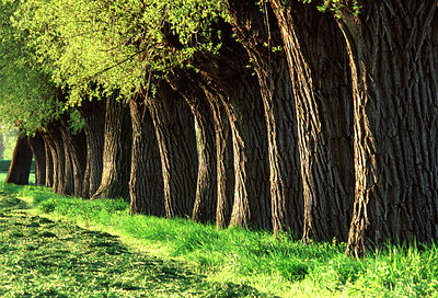 BUITEN BEELD Foto: 54232
