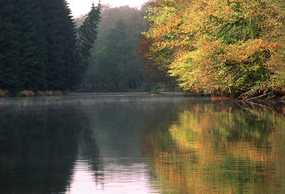 BUITEN BEELD Foto: 54274