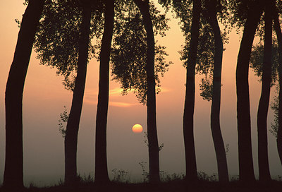 BUITEN BEELD Foto: 54285
