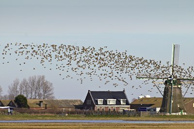 BUITEN BEELD Foto: 54308