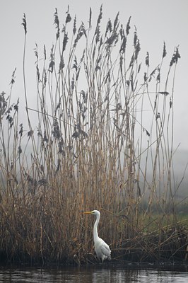 BUITEN BEELD Foto: 54311