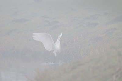 BUITEN BEELD Foto: 54313