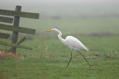 BUITEN BEELD Foto: 54320