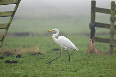 BUITEN BEELD Foto: 54321