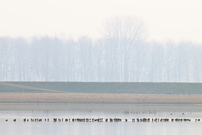 BUITEN BEELD Foto: 54325