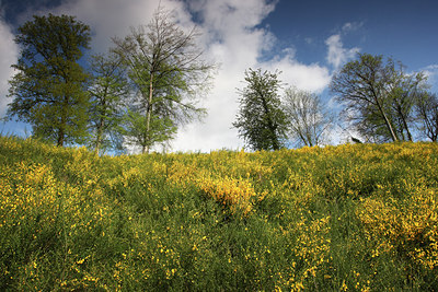 BUITEN BEELD Foto: 54345
