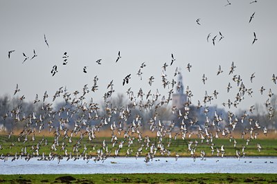 BUITEN BEELD Foto: 54352