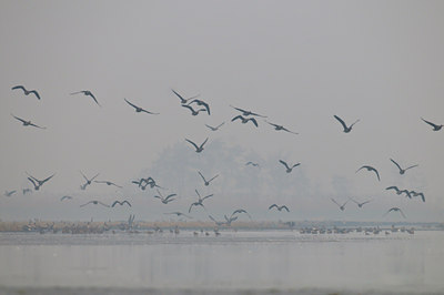 BUITEN BEELD Foto: 54407