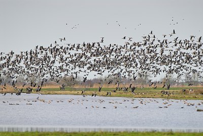 BUITEN BEELD Foto: 54413