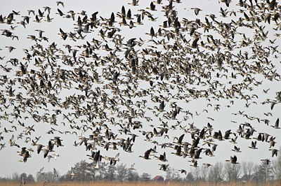 BUITEN BEELD Foto: 54420