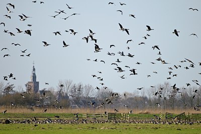 BUITEN BEELD Foto: 54425