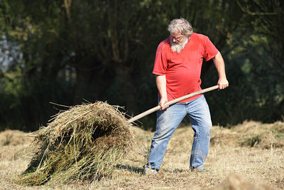 BUITEN BEELD Foto: 54426