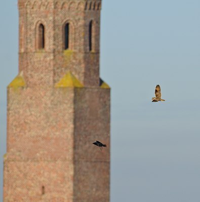 BUITEN BEELD Foto: 54439
