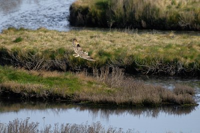 BUITEN BEELD Foto: 54440