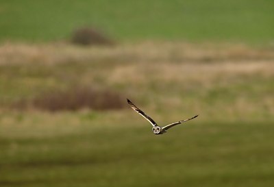 BUITEN BEELD Foto: 54441