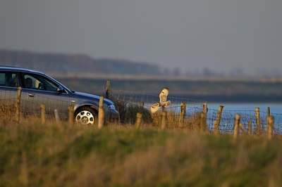 BUITEN BEELD Foto: 54447