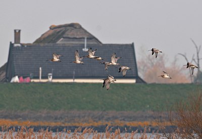BUITEN BEELD Foto: 54458